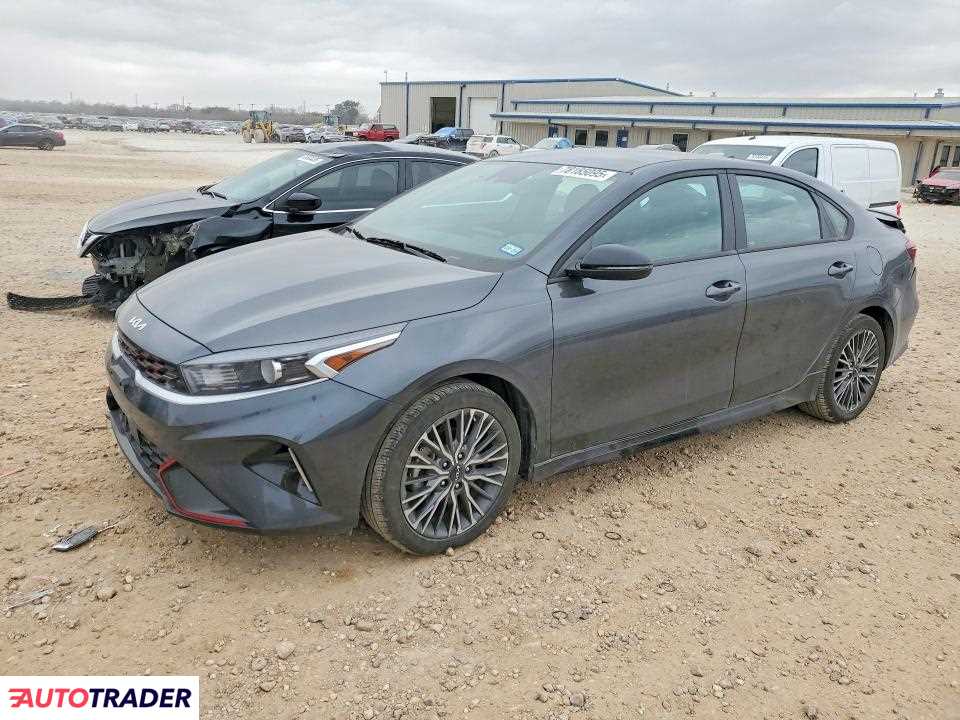 Kia Pozostałe 2024 2