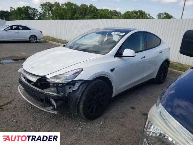 Tesla Model Y 2021 Tesla Model Y 2021