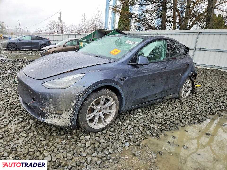 Tesla Model Y 2020