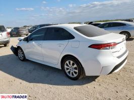 Toyota Corolla 2020 1