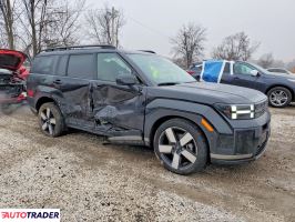 Hyundai Santa Fe 2024 2