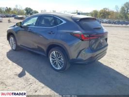 Lexus NX 2025 2