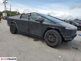 Tesla Pozostałe 2024