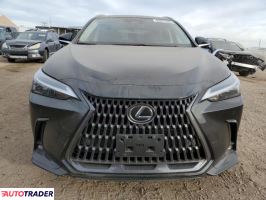 Lexus NX 2024 2