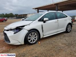 Toyota Corolla 2020 1