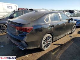 Kia Pozostałe 2024 1