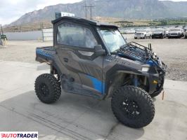 Polaris Pozostałe 2019