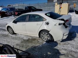 Toyota Corolla 2020 1