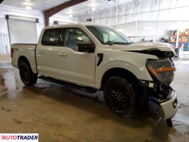 Ford Pozostałe 2024