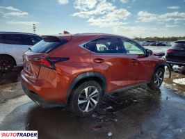 Lexus NX 2020 2