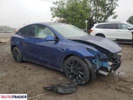Tesla Model Y 2021 Tesla Model Y 2021