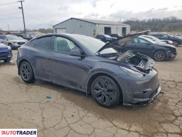 Tesla Model Y 2025