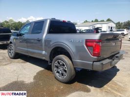 Ford Pozostałe 2024 5