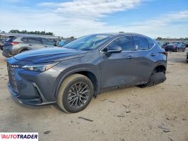 Lexus NX 2024 2