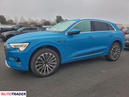 Audi E-tron 2019