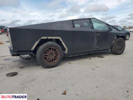 Tesla Pozostałe 2024