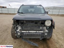 Jeep Renegade 2019 1