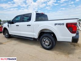 Ford Pozostałe 2024 2