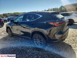 Lexus NX 2024 2