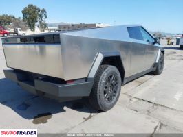 Tesla Pozostałe 2025 Tesla Pozostałe 2025