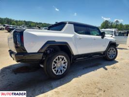 GMC Pozostałe 2025