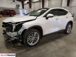 Lexus NX 2024 2 Lexus NX 2024 2