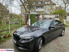 BMW 530 2019 2.0 292 KM