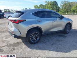 Lexus NX 2024 2