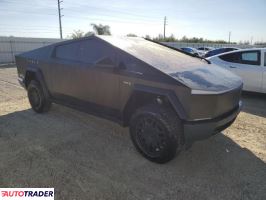 Tesla Pozostałe 2024 Tesla Pozostałe 2024