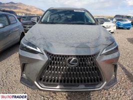 Lexus NX 2024 2 Lexus NX 2024 2