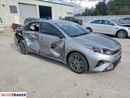 Kia Pozostałe 2024 2