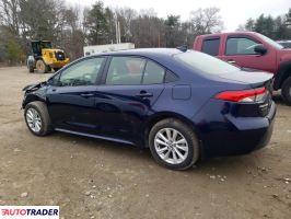 Toyota Corolla 2025 1