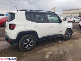 Jeep Renegade 2019 1