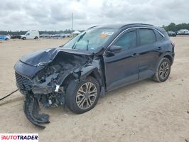 Ford Escape - zobacz ofertę