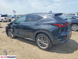 Lexus NX 2022 2
