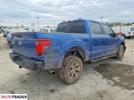 Ford Pozostałe 2024 3