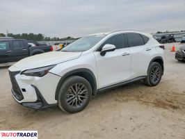 Lexus NX 2023 2
