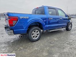 Ford Pozostałe 2024 3