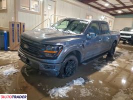 Ford Pozostałe 2024 2