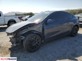 Tesla Model Y 2021 Tesla Model Y 2021