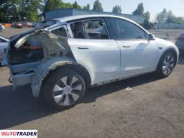Tesla Model Y 2020