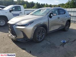 Lexus NX 2022 2