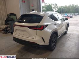Lexus NX 2025 2 Lexus NX 2025 2