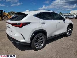 Lexus NX 2023 2