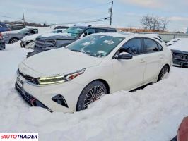 Kia Pozostałe 2024 1