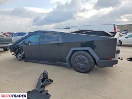 Tesla Pozostałe 2024