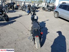 Harley-Davidson Pozostałe 2020