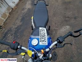 Triumph Pozostałe 2024