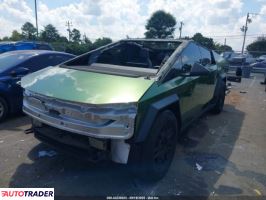 Tesla Pozostałe 2024