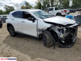 Lexus NX 2024 2